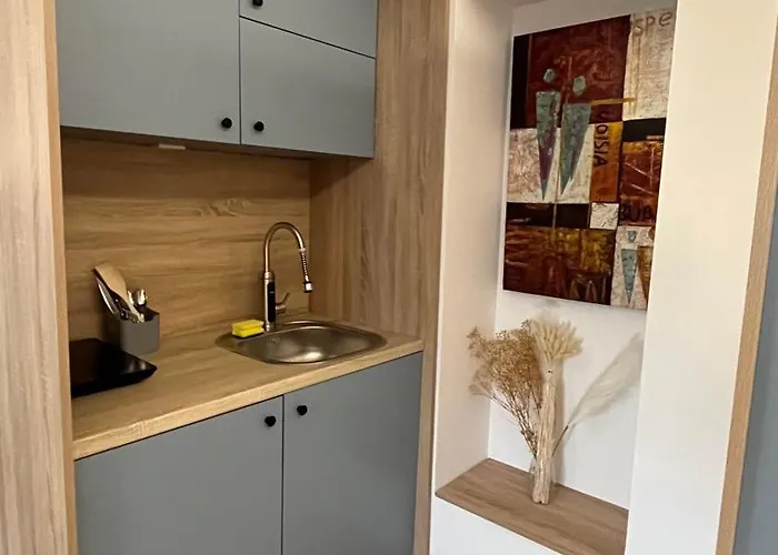 Olive Centre Apartament