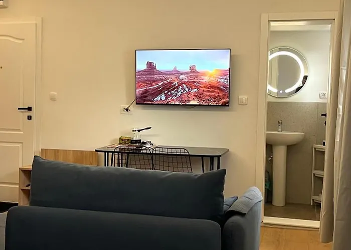 Olive Centre Apartament *